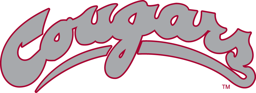 Washington State Cougars 1995-2010 Wordmark Logo v2 iron on transfers for fabric